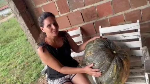 Agricultora colhe jerimum 'gigante' de 35 quilos em Limoeiro, no Agreste