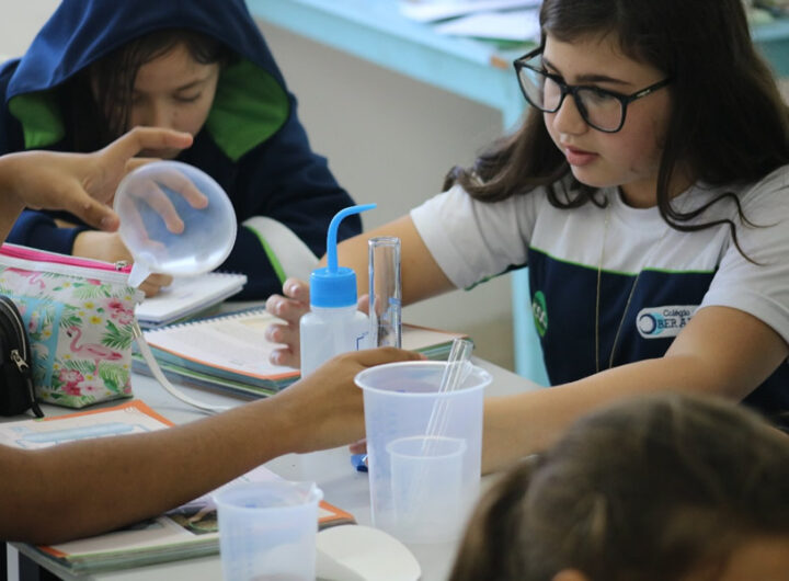 A importância da educação emocional nas escolas no período de rematrículas